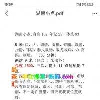 河东小点